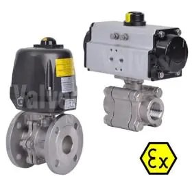 ATEX Actuated Valves