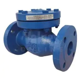 Flanged Check Valves