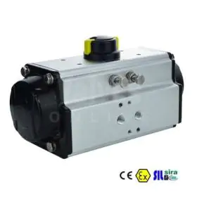 Pneumatic Actuators