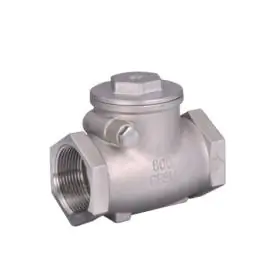 Stainless Steel Check Valves