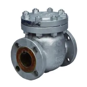 Check Valves