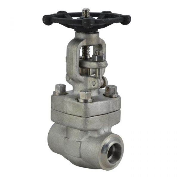 Class 800 Forged Stainless Steel 316L Globe Valve