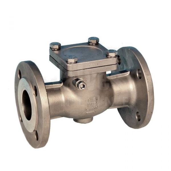 Stainless Steel Flanged Swing Check Valve