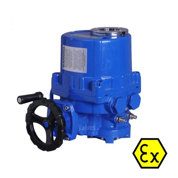 Explosion Proof Electric Actuator 80Nm - 500Nm