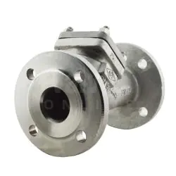 PN40 Stainless Steel ARI CHECKO-V Y Pattern Check Valve