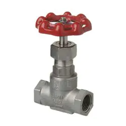 Stainless Steel Gate Valve