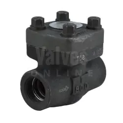Forged Steel Swing Check Valve Class 800