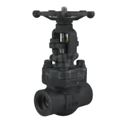 Forged Steel Gate Valve Class 800