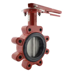 Bray Series 31 Lugged PN16 Butterfly Valve - 316 Stainless Steel Disc