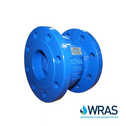Cast Iron Flanged Axial Disc Check Valve