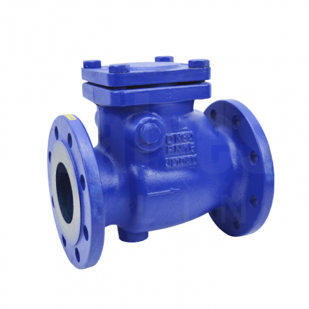Cast Iron Swing Check Valve Flanged PN16 - EPDM Seat