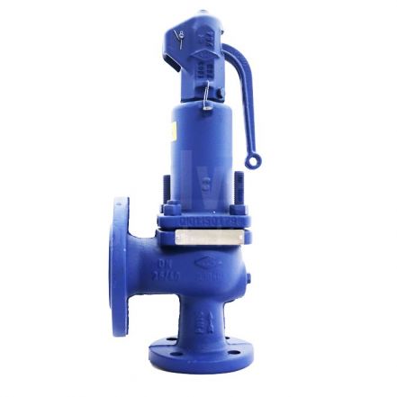 PN40 Stainless Steel ARI SAFE Safety Relief Valve 
