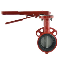 Bray Series 30 Wafer Butterfly Valve - Nylon Coated Ductile Iron Disc - 1