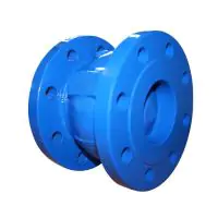 Cast Iron Flanged Axial Disc Check Valve - 1