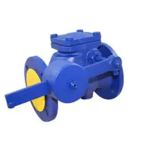 Cast Iron Swing Check Valve Flanged PN16 Lever + Weight - 0
