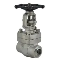 Class 800 Forged Stainless Steel 316L Gate Valve - 0