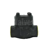 Forged Steel Piston Check Valve Class 800 - 1