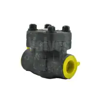 Forged Steel Piston Check Valve Class 800 - 2