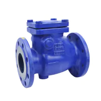 Cast Iron Swing Check Valve Flanged PN16 - EPDM Seat - 0