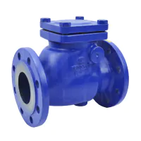 Cast Iron Swing Check Valve Flanged PN16 - EPDM Seat - 1
