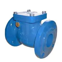 Ductile Iron Swing Check Valve Flanged PN16 - 1