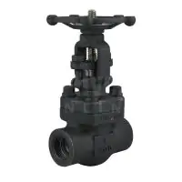 Forged Steel Gate Valve Class 800 - 0