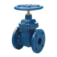 Ductile Iron Gate Valve Flanged PN16 - 1