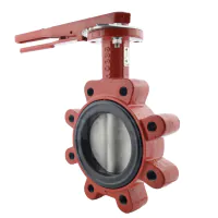 Bray Series 31 Lugged ANSI 150 Butterfly Valve - Nylon Coated Ductile Iron Disc - 1