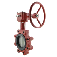 Bray Series 31 Lugged ANSI 150 Butterfly Valve - Nylon Coated Ductile Iron Disc - 3