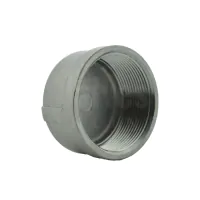 BSP Stainless Steel Female Round End Cap - 0