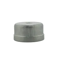 BSP Stainless Steel Female Round End Cap - 1