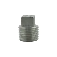 BSP Stainless Steel Male Square Hex Plug - 0
