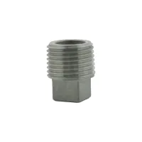 BSP Stainless Steel Male Square Hex Plug - 2