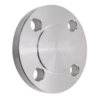 ANSI 150 316L Stainless Steel Blank Flange - 1