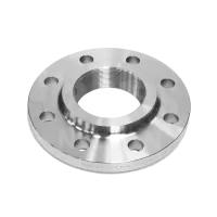 ANSI 300 316L Stainless Steel NPT Threaded Flange - 0