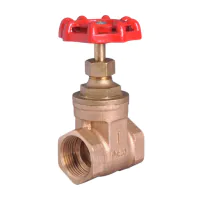 Bronze Gate Valve - 0