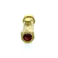 CR Brass Double Check Valve - 2