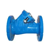 Ductile Iron Flanged Ball Check Valve - 1
