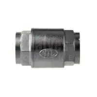 Stainless Steel Spring Check Valve High Pressure Screwed BSP - 1