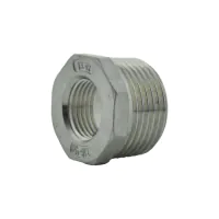 NPT Stainless Steel Reducing Bush - 0