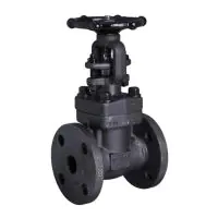 Forged Steel Flanged Gate Valve - 0