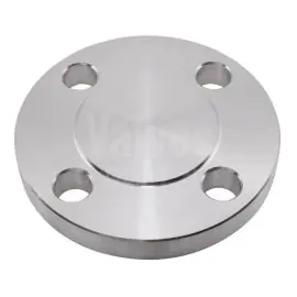 ASA 150 316L Stainless Steel Blank Flange