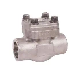 Class 800 Forged Stainless Steel 316L Piston Check Valve