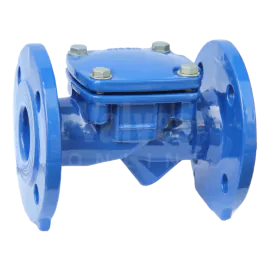 Economy WRAS Approved PN16 Swing Check Valve