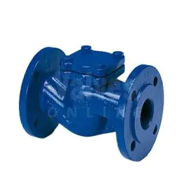 PN16 Nodular Iron ARI CHECKO-V Non-return Check Valve