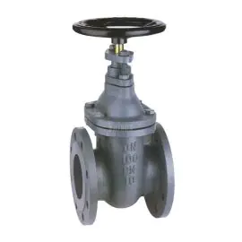 Cast Iron Gate Valve PN6