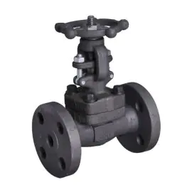 Forged Steel Globe Valve Flanged