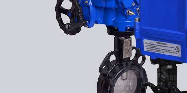 Economy Actuated Butterfly Valves
