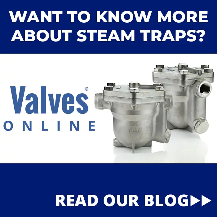 Steam Trap Blog